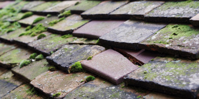 Maud roof repair costs